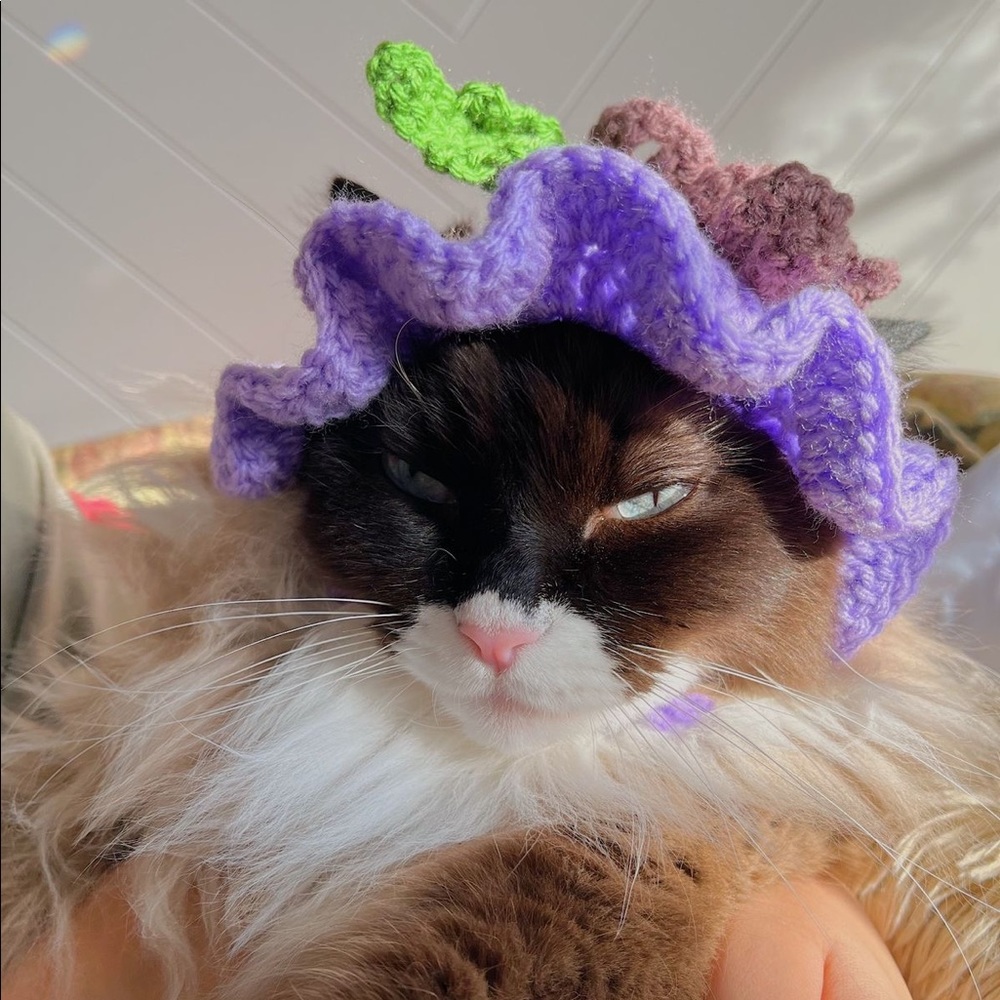 Purple grape cat hat